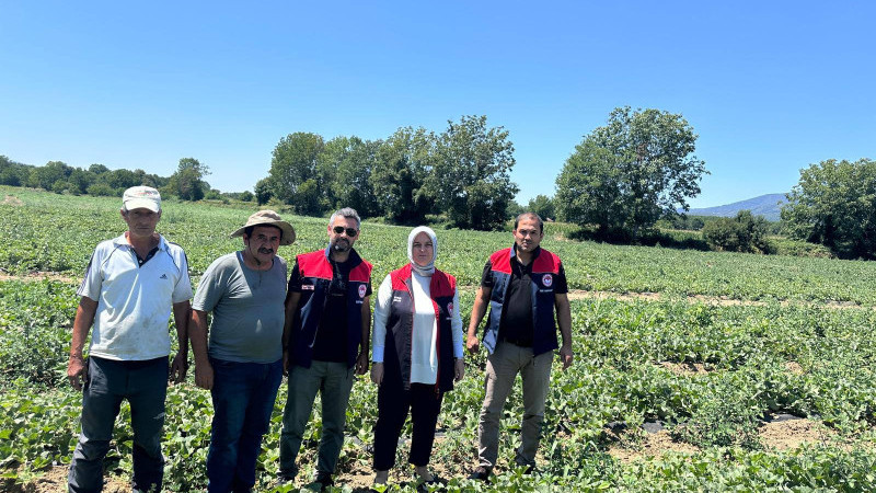 DÜZCE’DE ÜRETİLEN “DONDURMA KAVUNLARI” YOĞUN İLGİ GÖRÜYOR