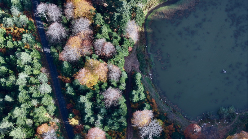 DÜZCE'NİN ODAYERİ YAYLASI VE TORKUL GÖLETİ, ZİYARETÇİLERİNİ AĞIRLIYOR