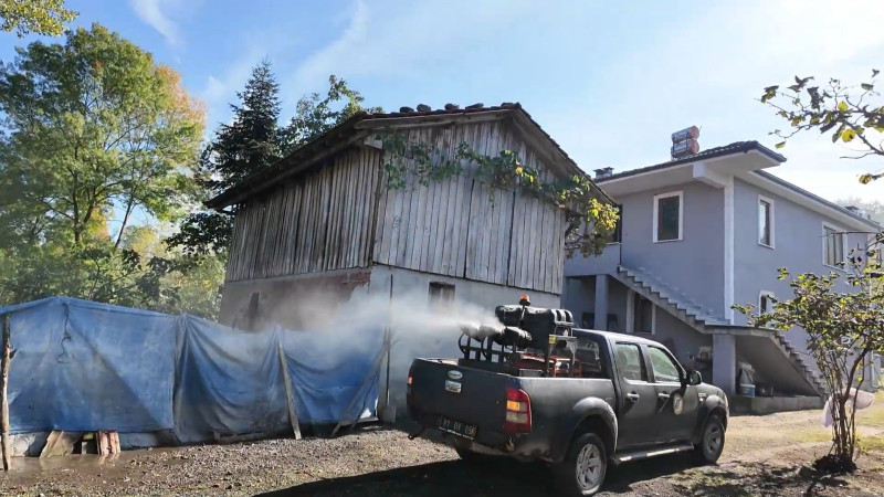 KAHVERENGİ KOKARCA İLE MÜCADELE SÜRÜYOR