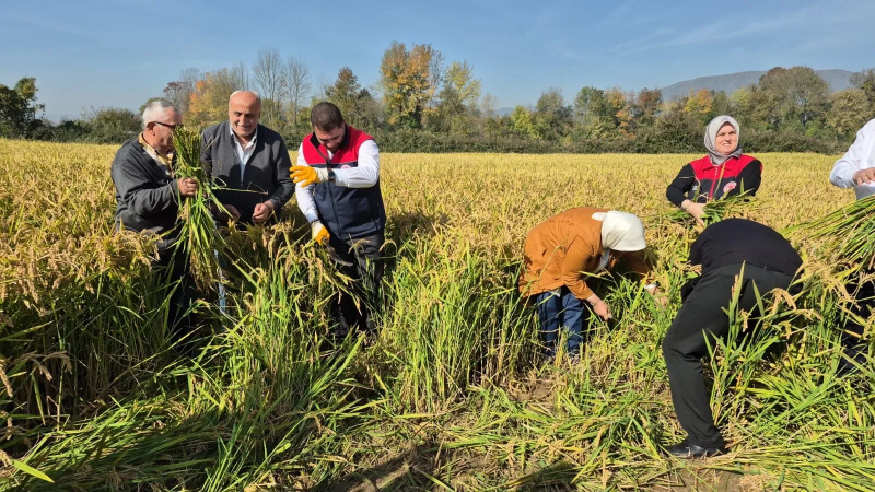VALİ ASLAN: ÜRETİM ALANLARINI YÜZDE 60’TAN FAZLA ARTTIRDIK