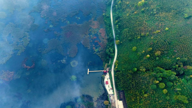 EFTENİ KUŞ CENNETİ'NDE SİS AHENK OLUŞTURDU