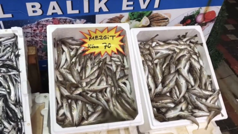 AKÇAKOCA'DAN BALIK TÜKETİCİLERİNE UYARI: