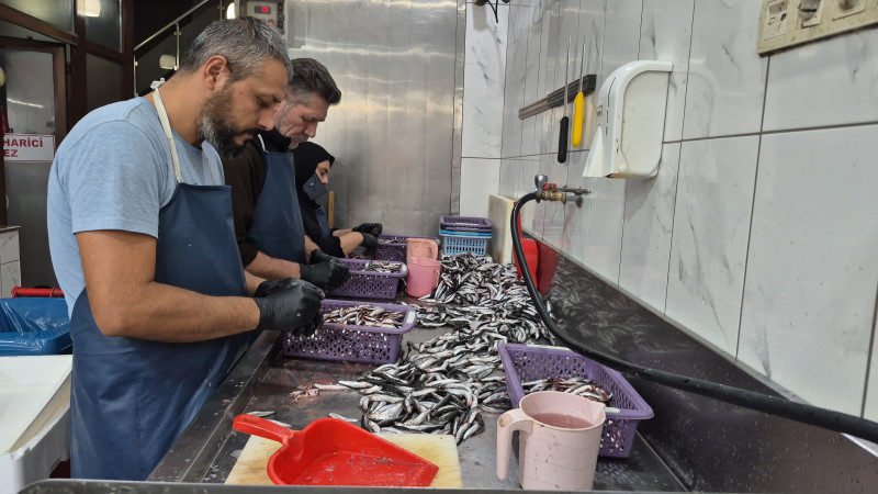 BALIK USTASINDAN LEZZETLİ HAMSİ PİŞİRMENİN PÜF NOKTALARI 