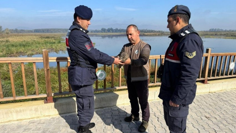 JANDARMANIN HAYVAN SEVGİSİ  