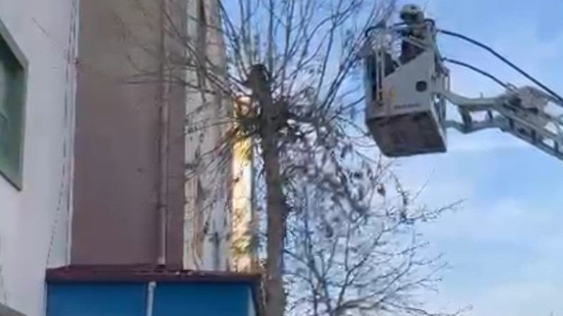 KEDİ KURTARMA OPERASYONU