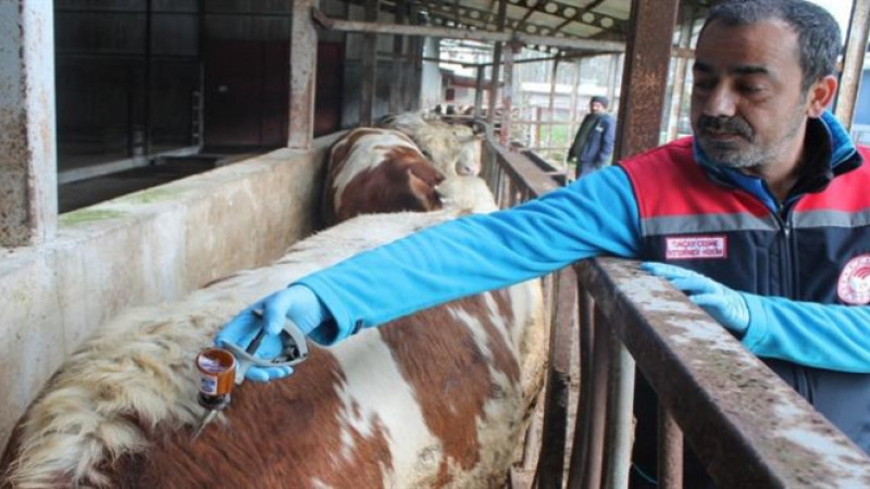 UZUN: BÜYÜK BİR HASSASİYETLE ÇALIŞIYORUZ