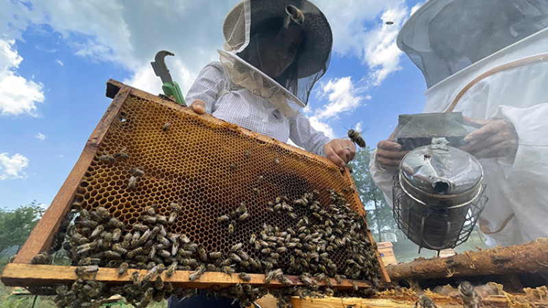 DÜZCE ‘ARICILIKTA’ TÜRKİYE’YE ÖRNEK