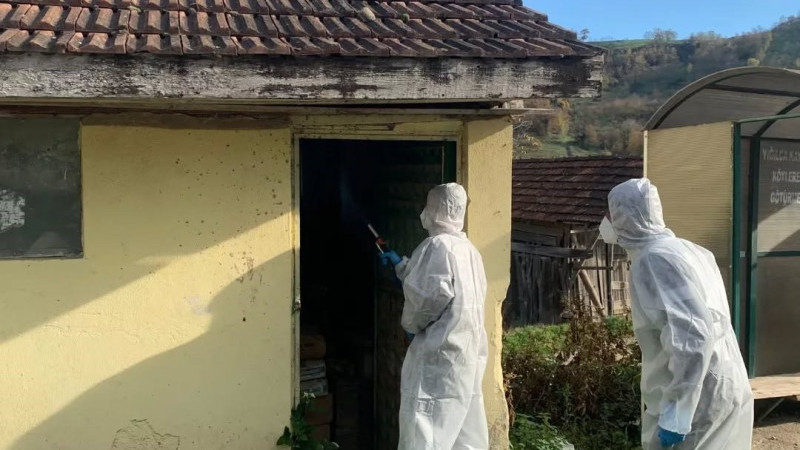 YIĞILCA'DA KAHVERENGİ KOKARCA İLE KIŞLAK MÜCADELESİ DEVAM EDİYOR