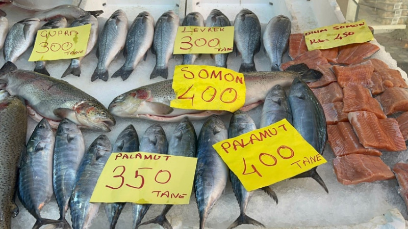 VATANDAŞLAR ET YERİNE BALIK TERCİH EDİYOR