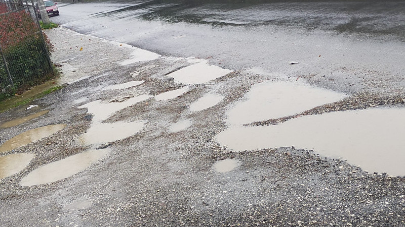 DEFALARCA ŞİKAYETE RAĞMEN YOL KÖSTEBEK YUVASI