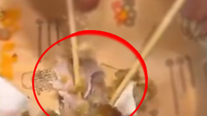 FAST FOOD ZİNCİRİNDE  MİDE BULANDIRAN MANZARA