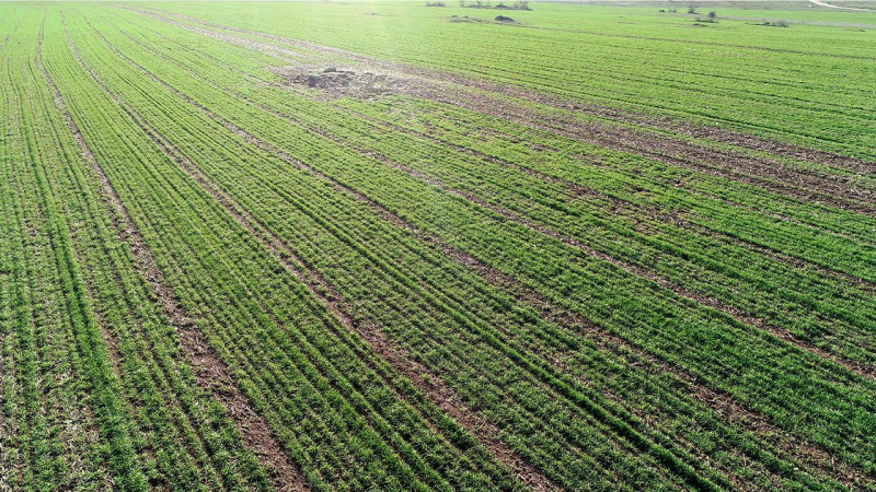 DÜZCE’DE YAĞIŞLAR SON 38 YILIN ZİRVESİNE ULAŞTI