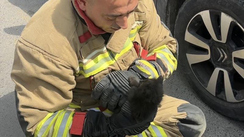 ARACIN MOTOR BÖLÜMÜNE GİREN KEDİ YAVRUSU KURTARILDI