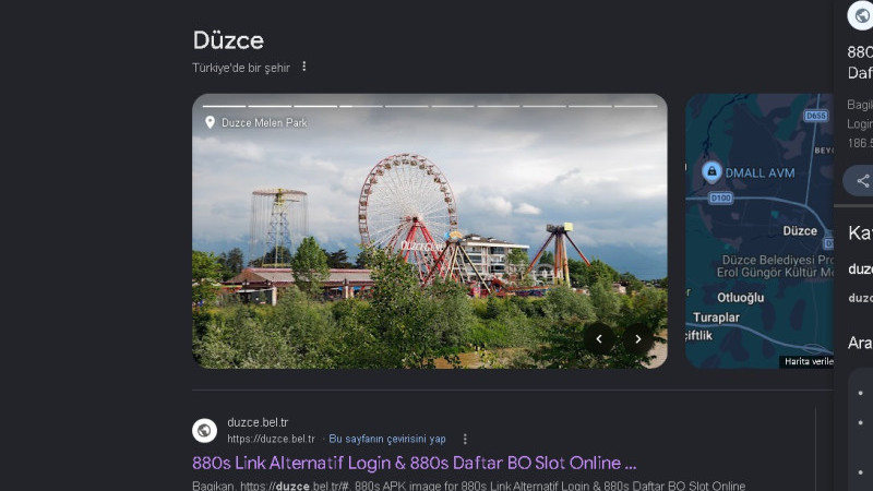 DÜZCE BELEDİYESİ’NİN İNTERNET SİTESİNE SİBER SALDIRI 