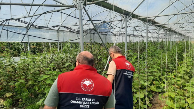 SERALARDA DAĞITILAN FİDELER KONTROL EDİLDİ 