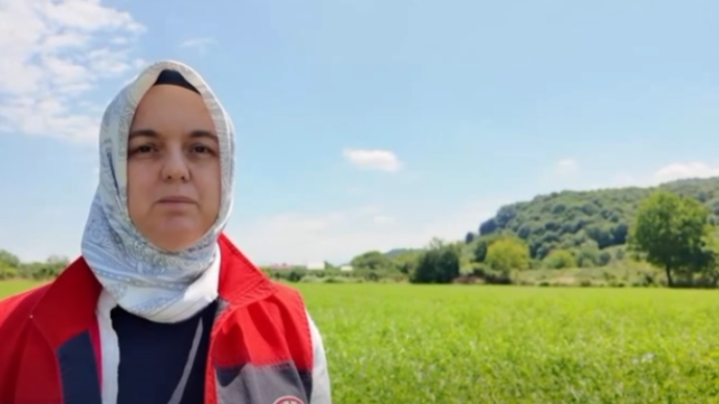 KALİTELİ KABA YEM İÇİN YONCA ÜRETİMİNE DESTEK 