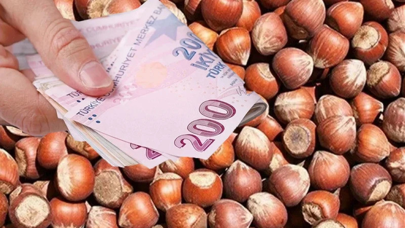 FINDIK ÜRETİCİSİ BEKLEMEDE 