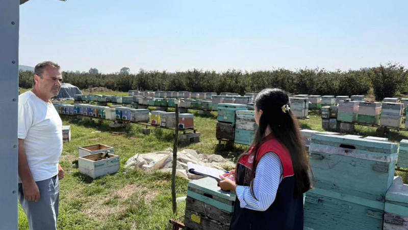 CUMAYERİ’NDE KOVAN SAYIMLARI YAPILIYOR