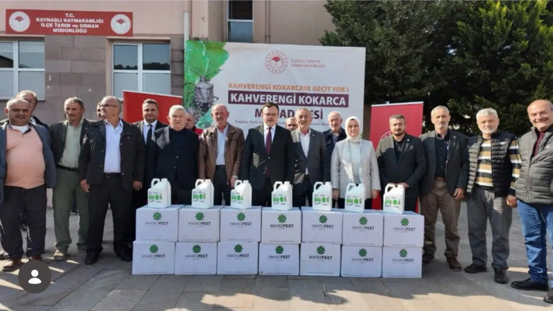 KAHVERENGİ KOKARCAYA KARŞI İLAÇ DESTEĞİ