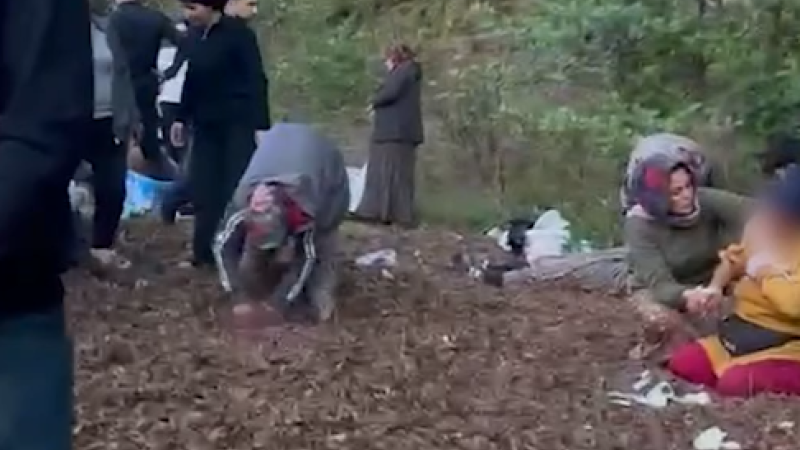TRAKTÖRÜN RÖMORKU DEVRİLDİ: 11 YARALI