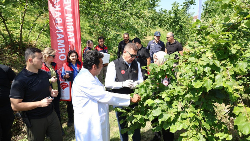 DÜZCE’DE “SAMURAİ ARISI