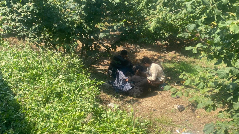 FINDIK İŞÇİLERİNİ TAŞIYAN TRAKTÖR DEVRİLDİ: 8 YARALI 