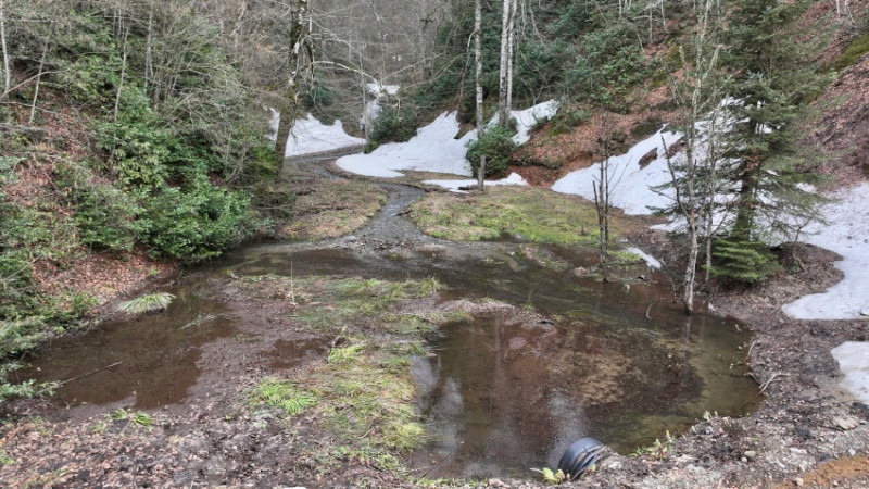 DÜZCE’NİN YAYLALARINDA İKİ MEVSİM BİR ARADA
