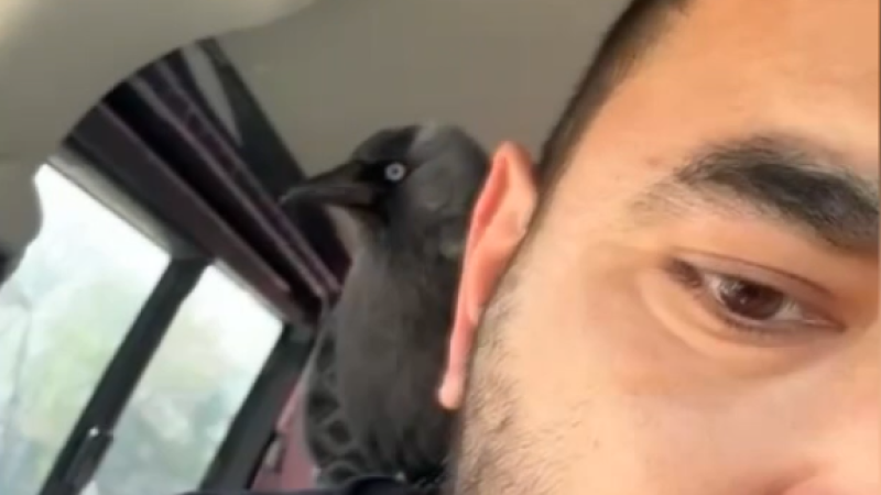 KARGAYLA YOLCULUK ETTİ, O ANLARI KAYDETTİ