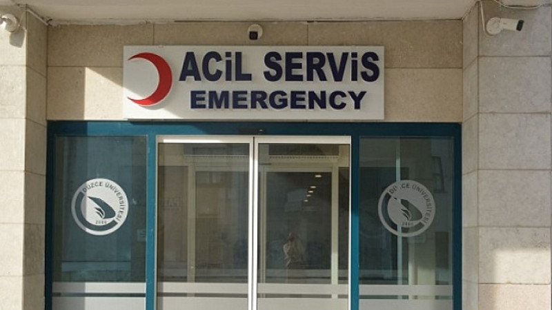 OTOMOBİL FINDIK BAHÇESİNE DEVRİLDİ: 2 YARALI