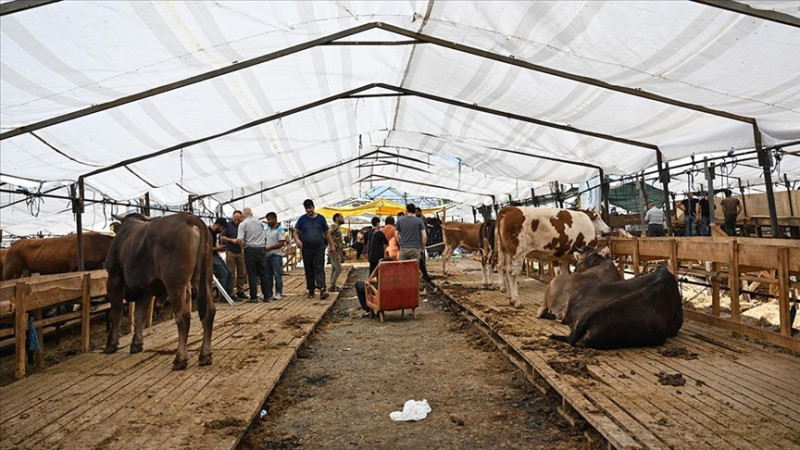 DÜZCE’DE 309 NOKTADA KURBAN KESİMİ YAPILACAK